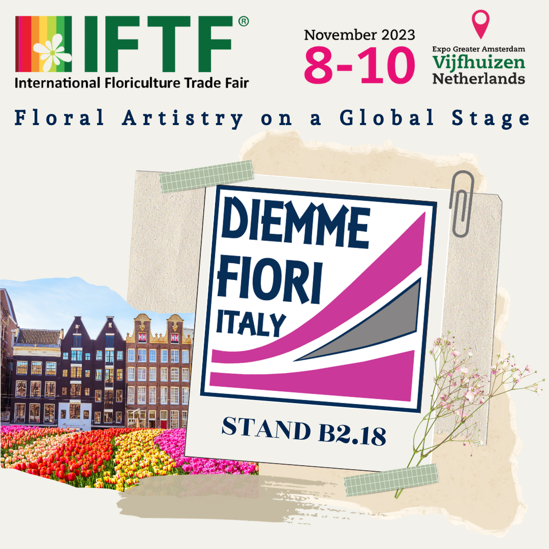 Diemme-iftf (2)