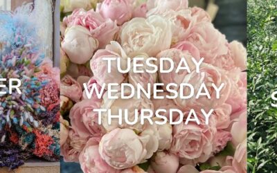 Diemme Fiori Awaits You at IFTF 2024