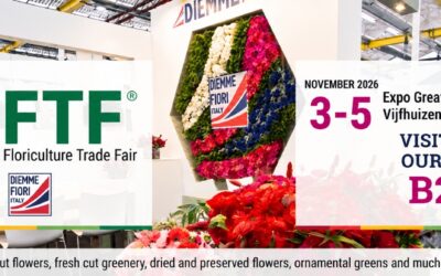 Diemme Fiori is waiting for you at IFTF